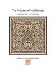 (image for) The Wonder Of Wildflowers